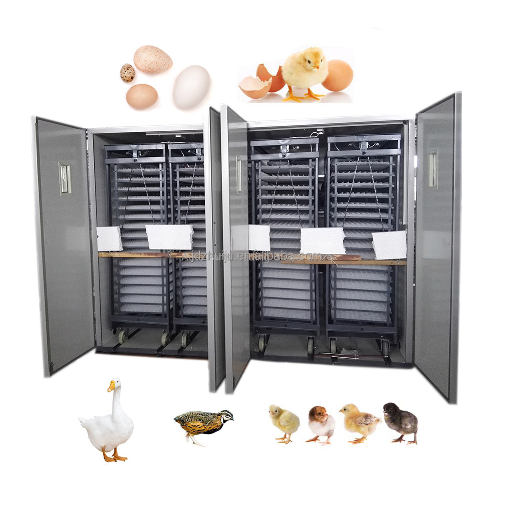 20000 Eggs Large Capacity Size - Quail Egg Incubator ulasan dan harga