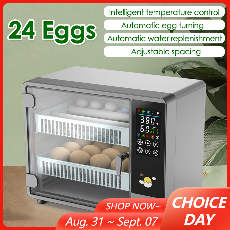 24 Eggs Full Automatic Turning - Quail Egg Incubator ulasan dan harga