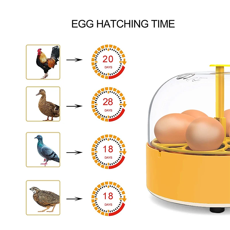 Breeding Incubator Chicken Duc - Quail Egg Incubator ulasan dan harga