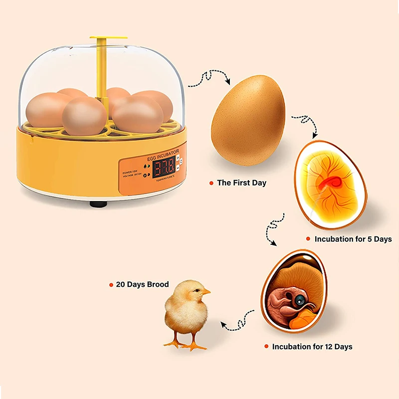 Breeding Incubator Chicken Duc - Quail Egg Incubator ulasan dan harga