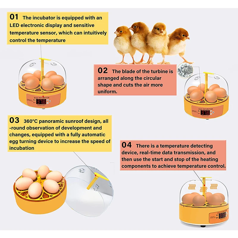 Breeding Incubator Chicken Duc - Quail Egg Incubator ulasan dan harga