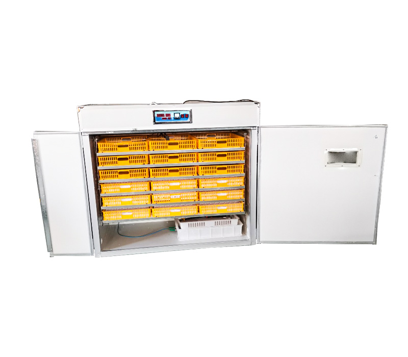 Controller for Fully Automatic - Quail Egg Incubator ulasan dan harga