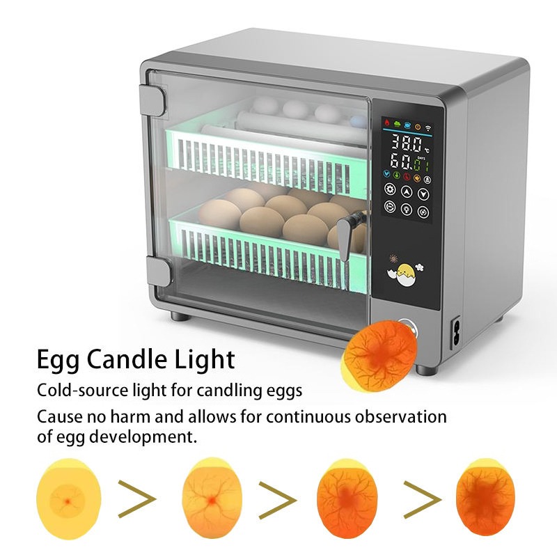 Factory Direct 2026 Fully Auto - Quail Egg Incubator ulasan dan harga