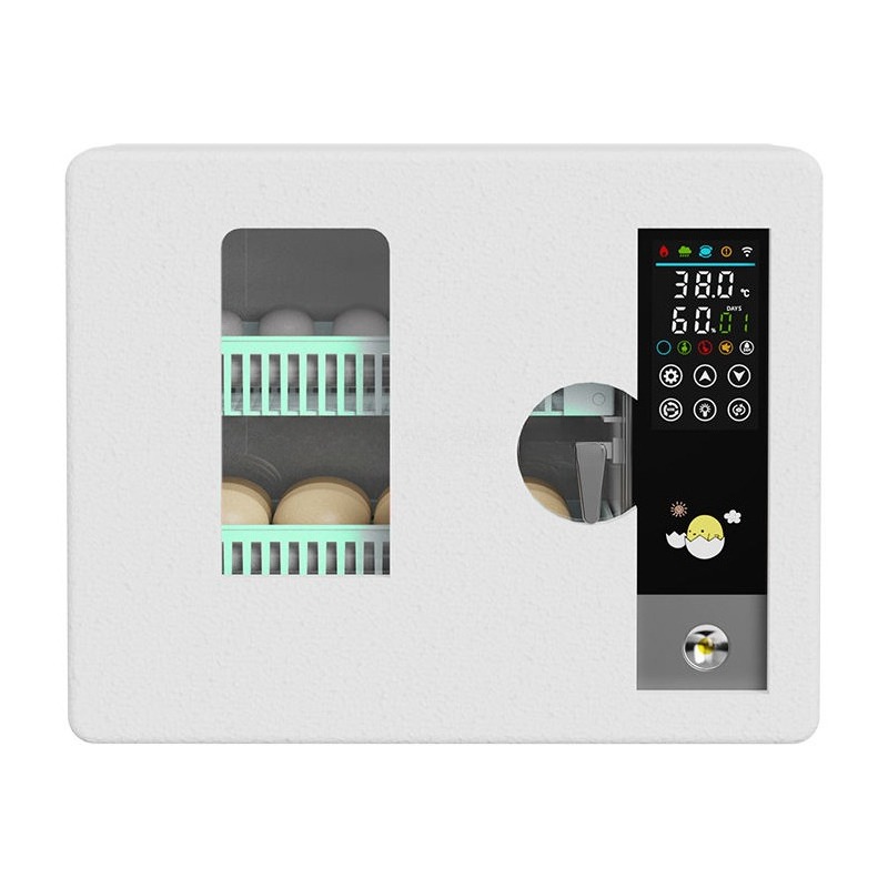 Factory Direct 2026 Fully Auto - Quail Egg Incubator ulasan dan harga