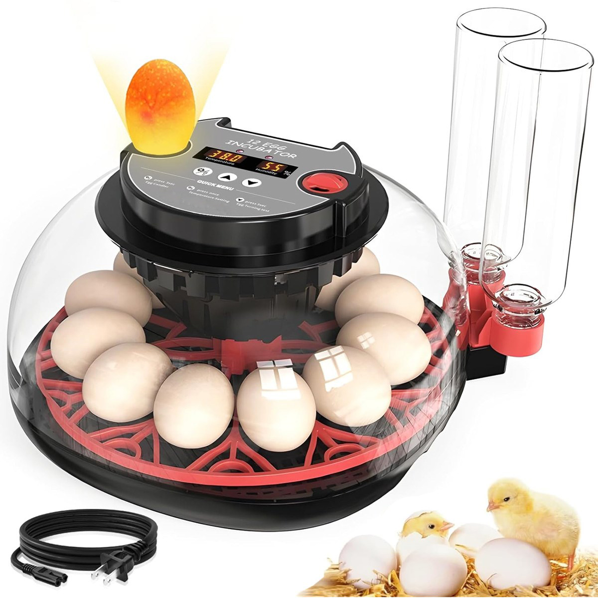 12 Egg Incubator Automatic Tur - Quail Egg Incubator ulasan dan harga