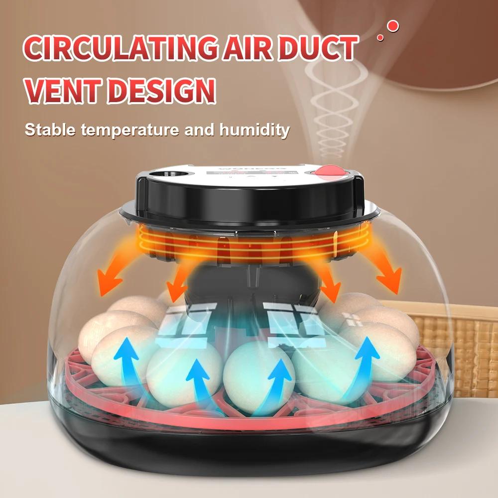 12 Egg Incubator Automatic Tur - Quail Egg Incubator ulasan dan harga