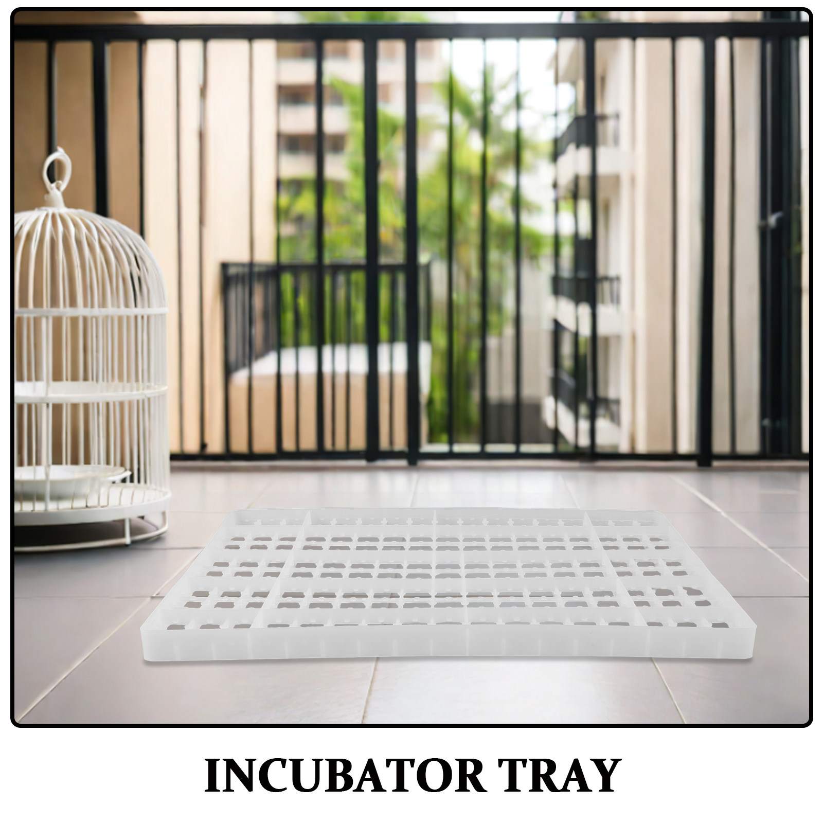 2PCS Egg Incubator Tray Grid C - Quail Egg Incubator ulasan dan harga