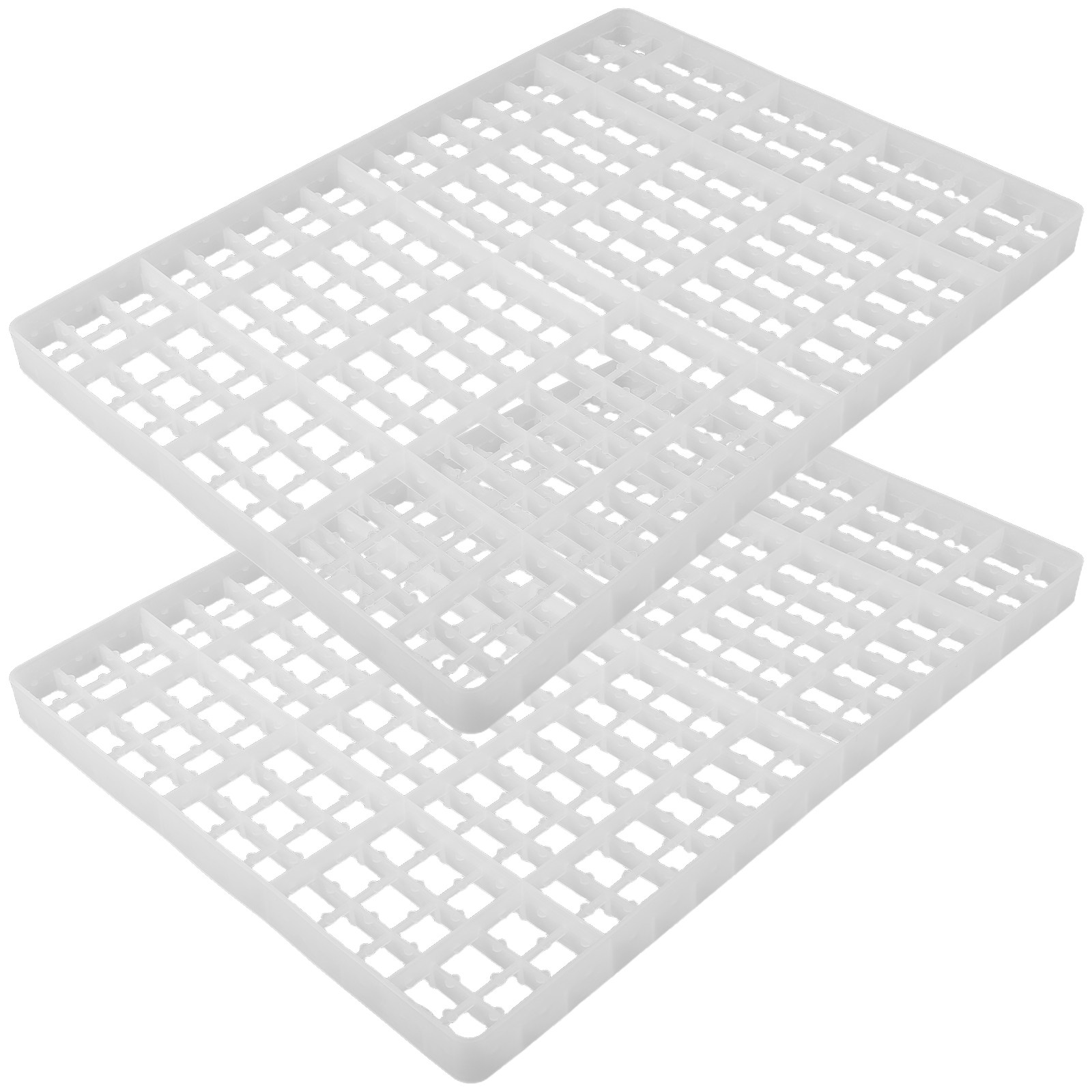 2PCS Egg Incubator Tray Grid C - Quail Egg Incubator ulasan dan harga