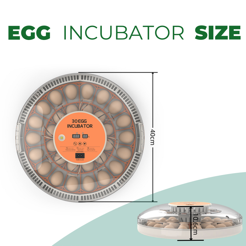 STLF30 Eggs Home Use Incubator - Quail Egg Incubator ulasan dan harga