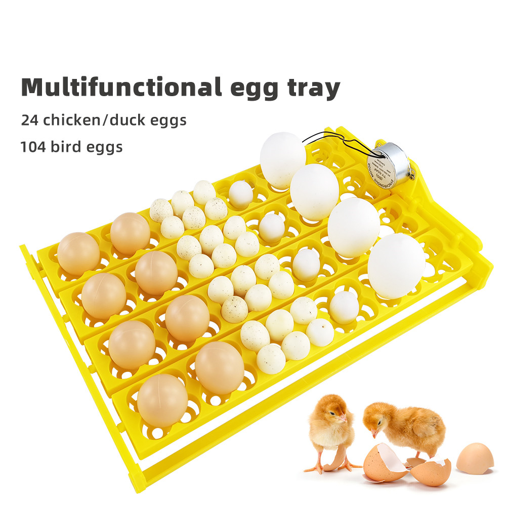 24pcs Eggs Incubator Tray Auto - Quail Egg Incubator ulasan dan harga