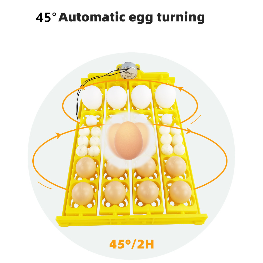 24pcs Eggs Incubator Tray Auto - Quail Egg Incubator ulasan dan harga