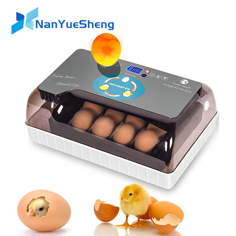 Automatic HHD Best Digital 12  - Quail Egg Incubator ulasan dan harga