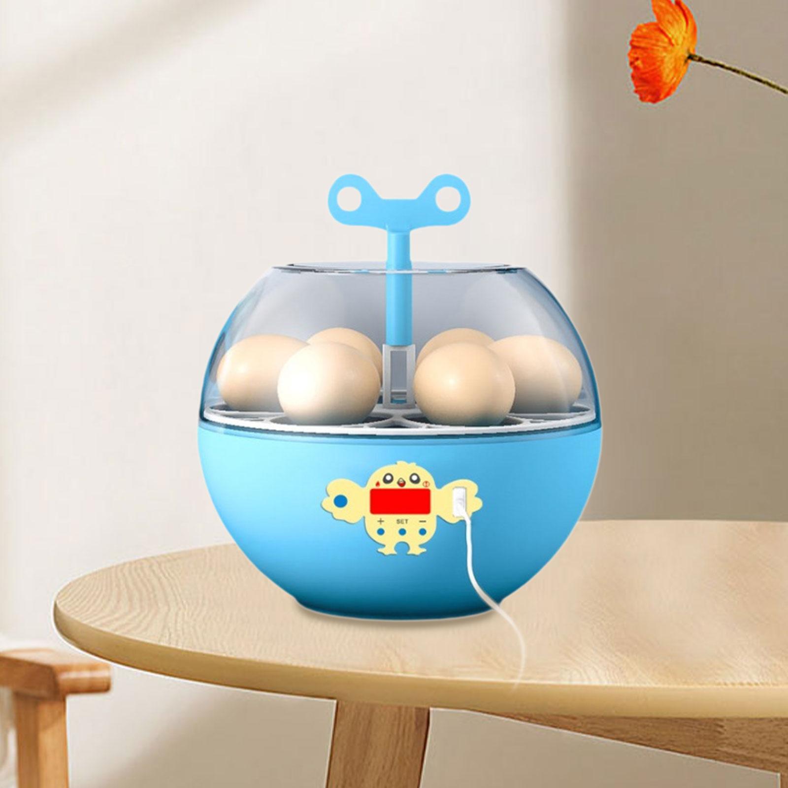 6 Eggs Incubator Mini Visible  - Quail Egg Incubator ulasan dan harga