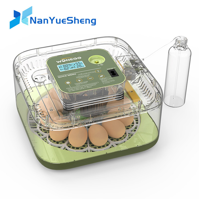 New 12 Chick egg Hatchery mach - Quail Egg Incubator ulasan dan harga