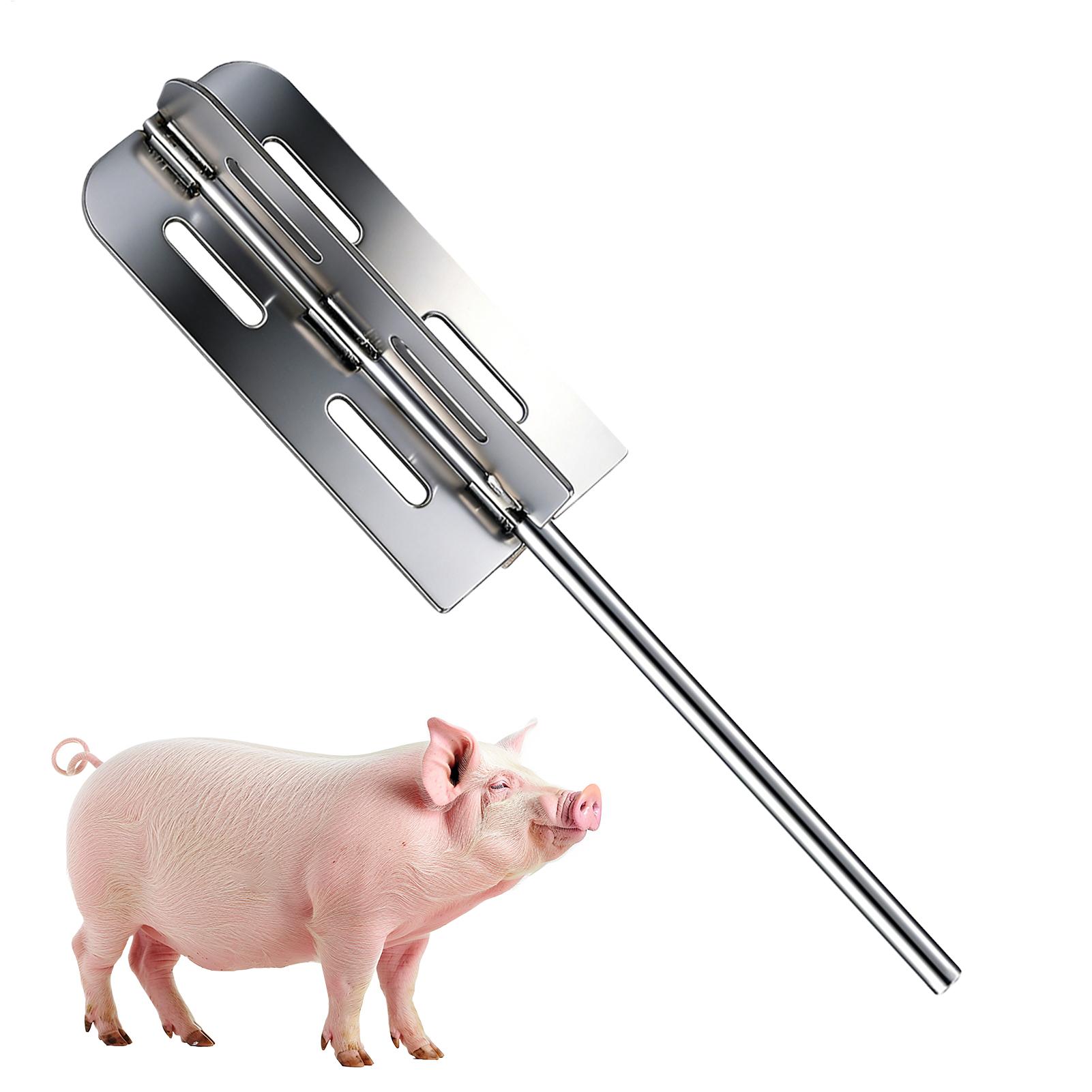 Hog Hair Removal Tool Stainles - Farming Equipment For Agriculture ulasan dan harga