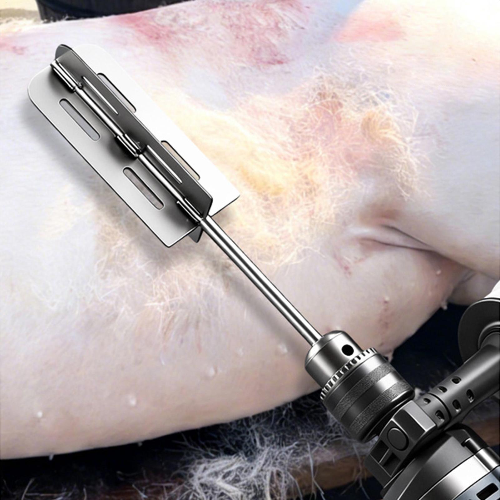 Hog Hair Removal Tool Stainles - Farming Equipment For Agriculture ulasan dan harga