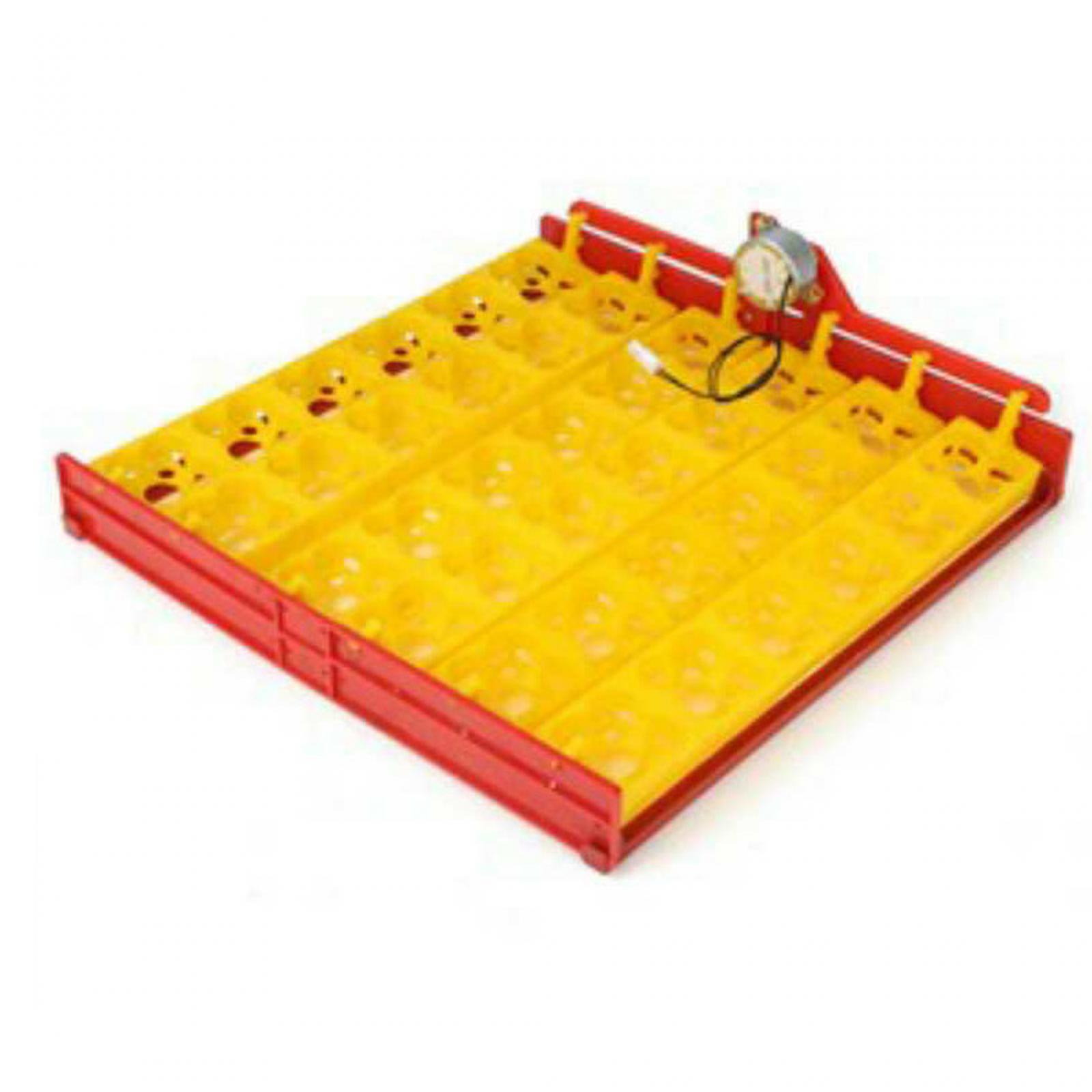 Egg Incubator Tray Plastic Aut - Quail Egg Incubator ulasan dan harga